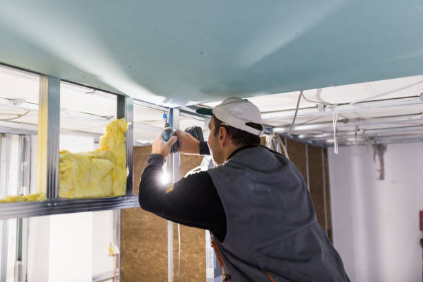Best Local Insulation Services  in Kenmore, NY