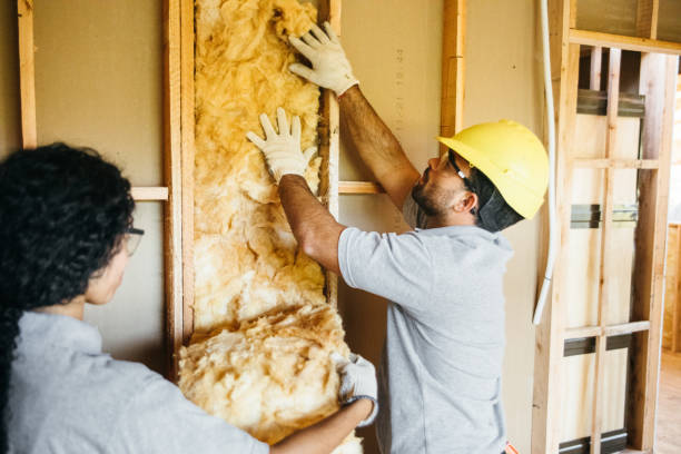 Best Crawl Space Insulation  in Kenmore, NY